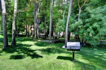 Bbq/picnic area